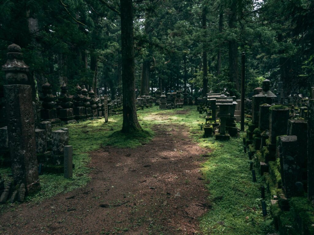 苔むした墓石と参道の写真