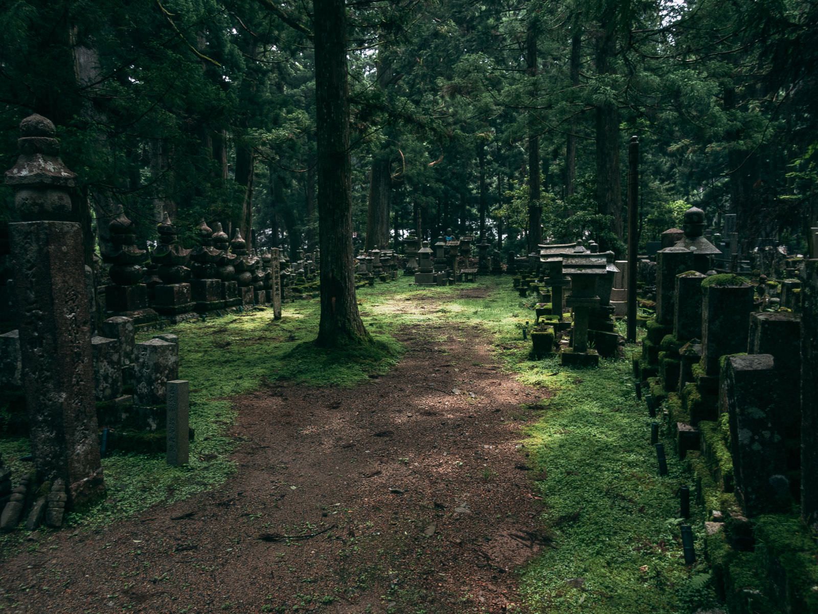 苔むした墓石と参道